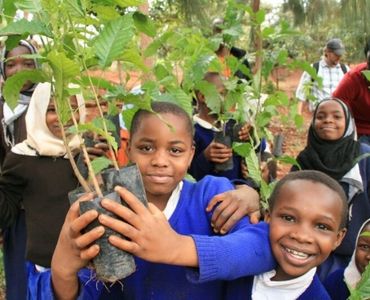 kids holding a tree plant