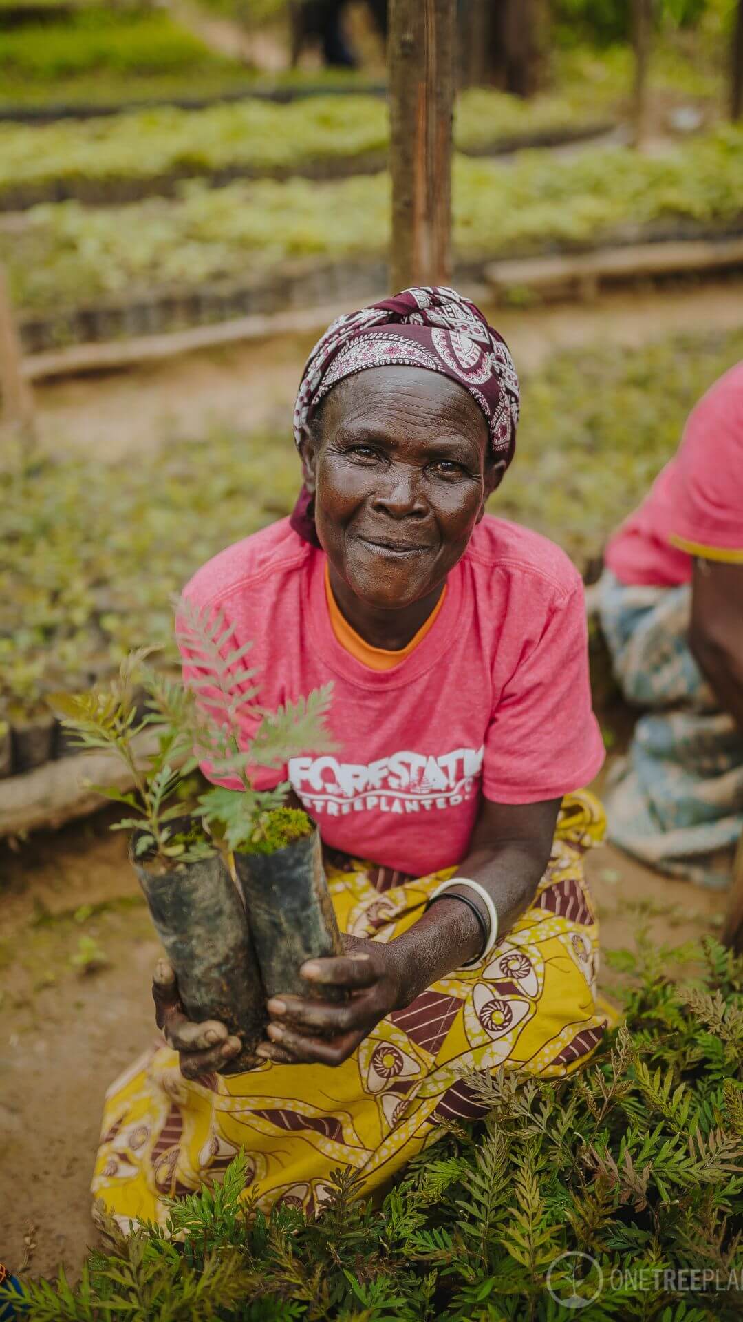 Femme plantant un arbre