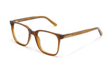 Marvel Marrón, Gafas Cuadradas Sobredimensionadas de Acetato Marrón - Acodadas
